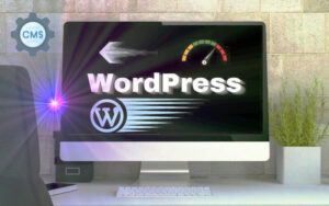 Speed up a wordpress
